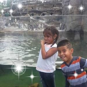 Meet your Posher, Gaby